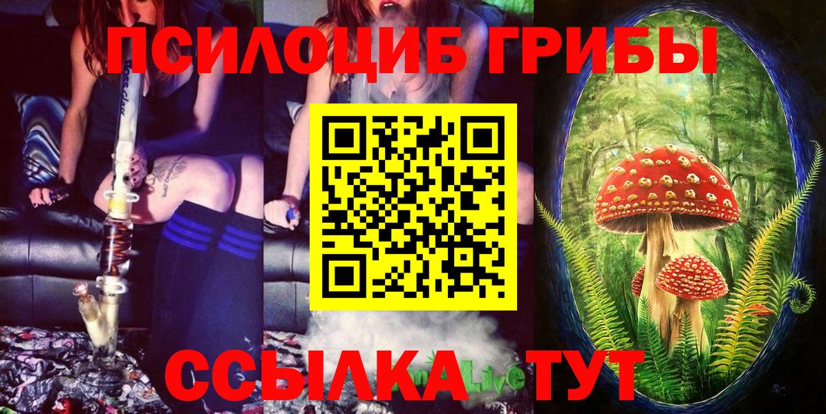 Псилоцибиновые грибы ЛСД Кировск